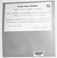 Image Associated With the Occurence